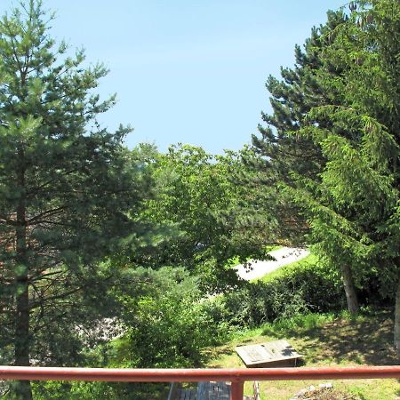 Holiday Home Jitka By Interhome Jablonné nad Orlicí Zewnętrze zdjęcie